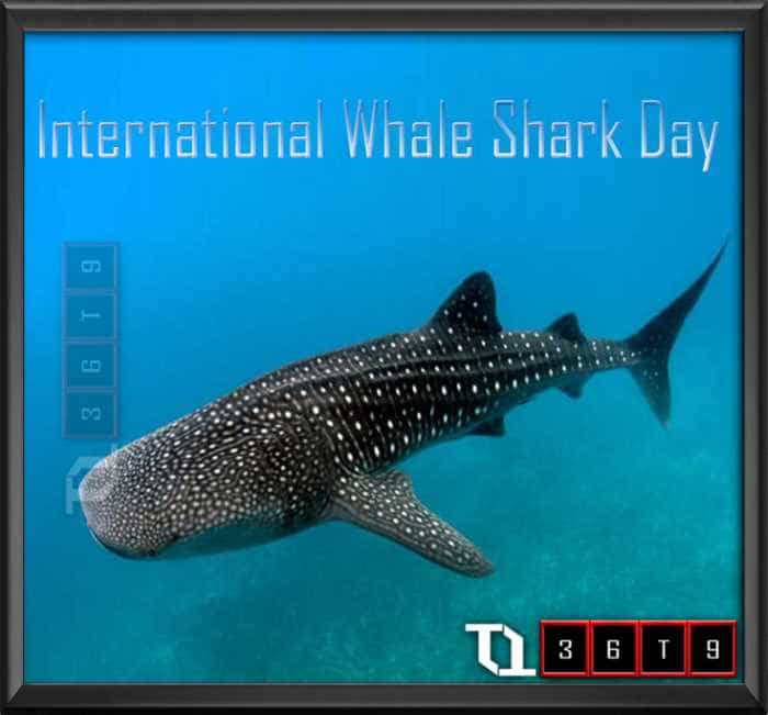 Holidays and observances