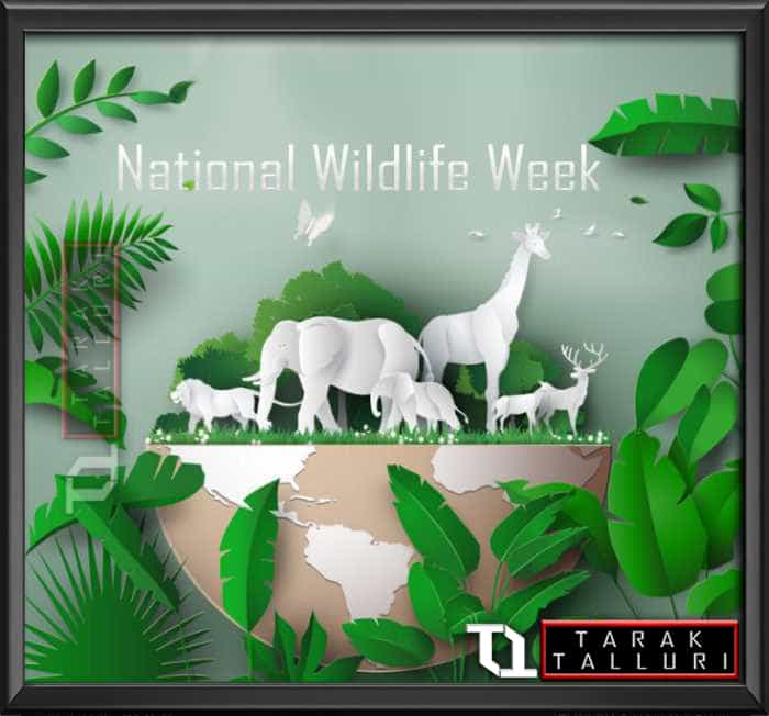 national wildlife week